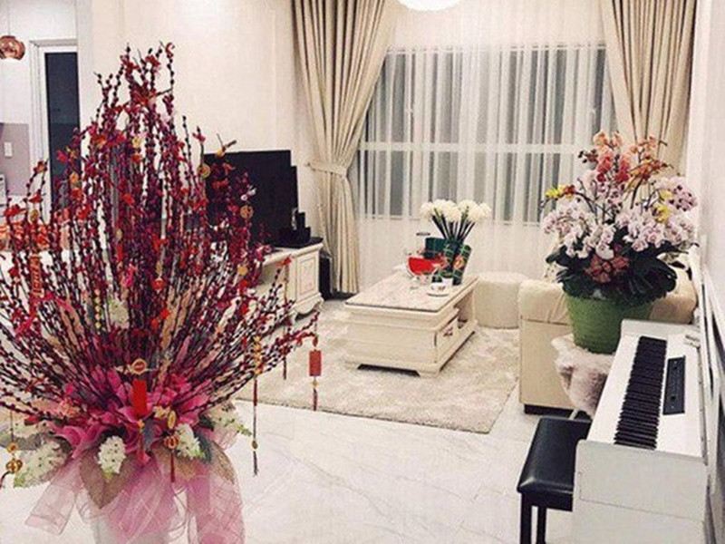 Cuối năm 2016, Angela Phương Trinh mua căn hộ chung cư cao cấp giá gần 5 tỷ đồng. Ảnh: FBNV.