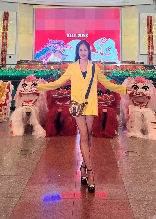 Sau khi tốt nghiệp khoa Diễn viên trường Cao đẳng Văn hóa nghệ thuật, Đào Vân Anh tham gia nhóm múa ABC do biên đạo múa Phương Lịch thành lập. Tiếp đó, cô được nhận vào Nhà hát kịch Thành phố. Tuy nhiên, vì ồn ào tình cảm, Đào Vân Anh rời Nhà hát kịch Thành phố.