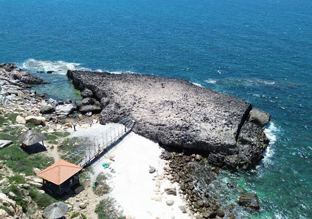 Bãi san hô cổ ở Hang Rái nằm trong Khu dự trữ sinh quyển thế giới Núi Chúa (Ninh Thuận). Ảnh: Nguyễn Thành – TTXVN
