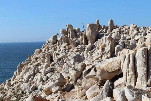 Một góc Công viên đá nằm trong Khu dự trữ sinh quyển thế giới Núi Chúa (Ninh Thuận). Ảnh: Nguyễn Thành - TTXVN