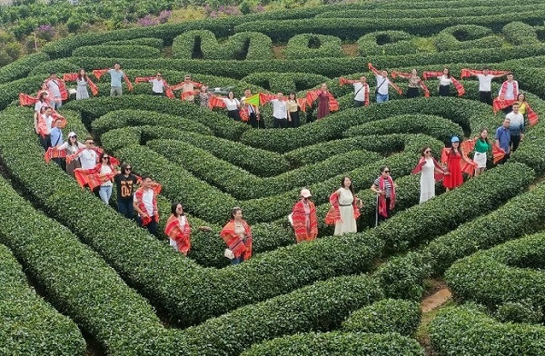 Khao sat diem den, dich vu du lich tren dia ban Moc Chau