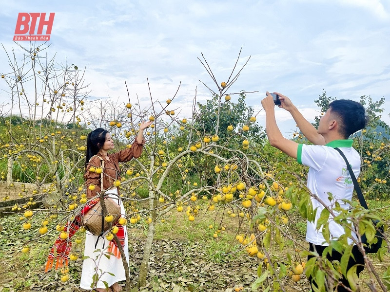 Khao sat diem den, dich vu du lich tren dia ban Moc Chau-Hinh-2