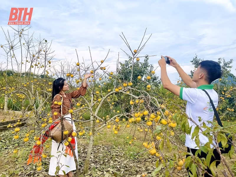 Khao sat diem den, dich vu du lich tren dia ban Moc Chau-Hinh-2