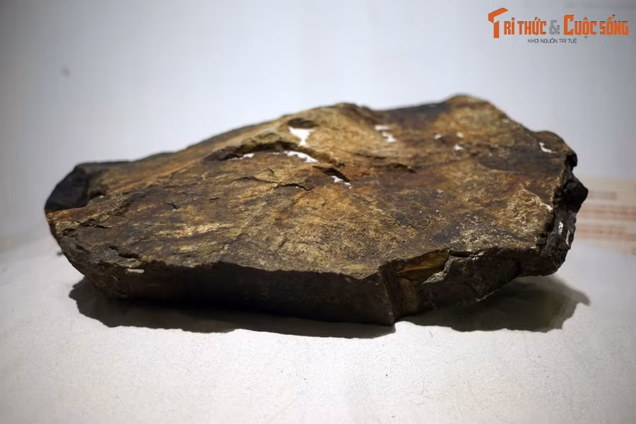 Những mẫu đá đầu tiên được cho rằng thuộc về vỏ Trái đất có tuổi 3,8 tỷ năm được các nhà khoa học thu thập ở Australia và Canada thuộc về liên đại Arkei (Thái Cổ) bắt đầu từ khoảng 4 tỷ năm trước.