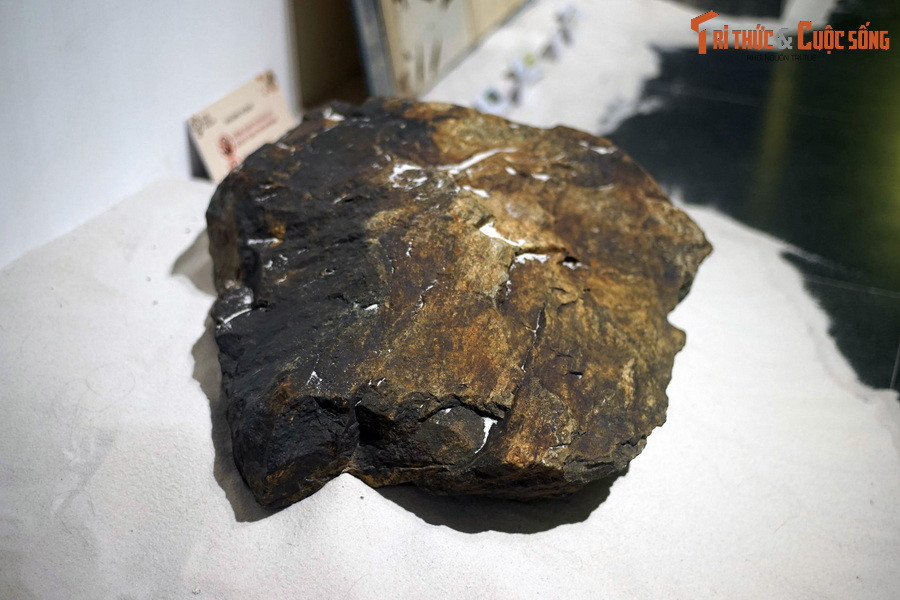 Còn ở Việt Nam, những tài liệu địa chất của suốt 100 năm nghiên cứu đã khoanh được hai vùng có khả năng chứa những loại đá cổ nhất có tuổi Arkei (Thái cổ), đó là địa khối Kon Tum ở Tây Nguyên và dãy núi Con Voi ở phía Tây Bắc Bộ.