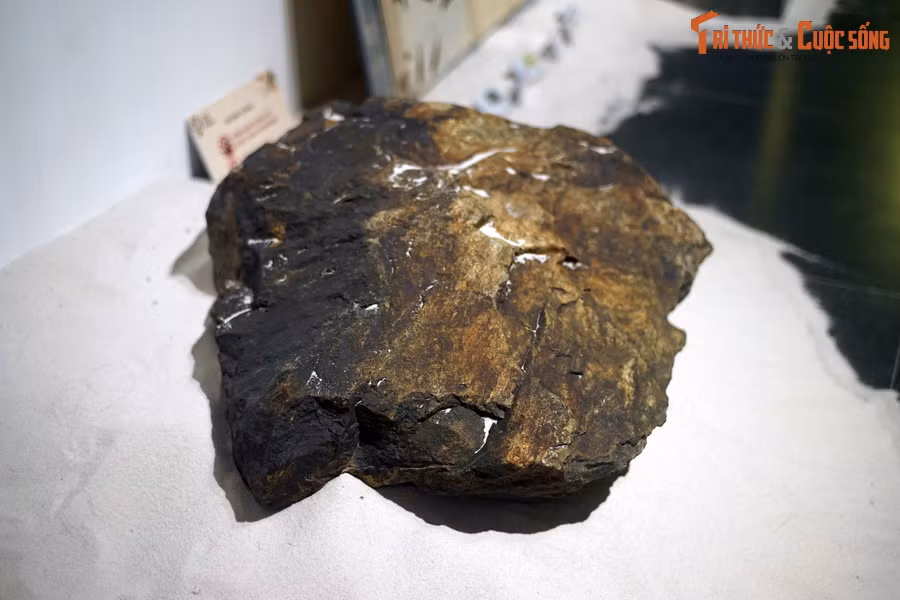 Còn ở Việt Nam, những tài liệu địa chất của suốt 100 năm nghiên cứu đã khoanh được hai vùng có khả năng chứa những loại đá cổ nhất có tuổi Arkei (Thái cổ), đó là địa khối Kon Tum ở Tây Nguyên và dãy núi Con Voi ở phía Tây Bắc Bộ.