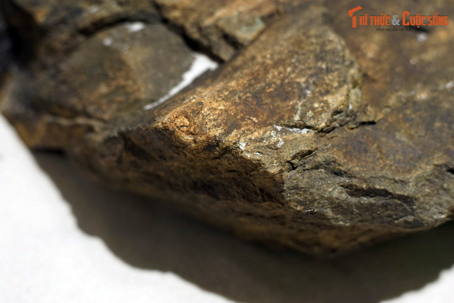 Vào năm 2001, PGS.TS Trần Ngọc Nam, nguyên Chủ nhiệm khoa Địa lí – Địa chất của Trường Đại học Khoa học, Đại học Huế, đã có cơ may đến được khu vực thác nước Hưng Khánh, huyện Trấn Yên, tỉnh Yên Bái thuộc dãy núi Con Voi để tiến hành thu thập mẫu.