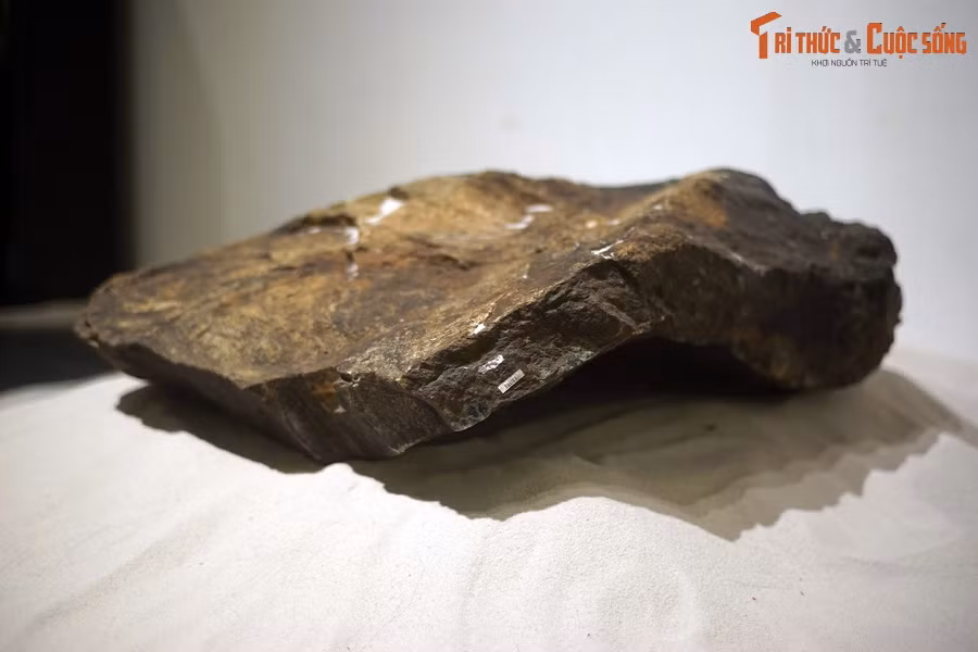 Theo tài liệu của Bảo tàng Hóa thạch Hà Nội, liên đại Hỏa thành (Haden, 4.5 - 4 tỉ năm trước) của Trái đất trôi qua không để lại chút chứng liệu vật chất nào về thời kỳ bí ẩn sơ khai này.