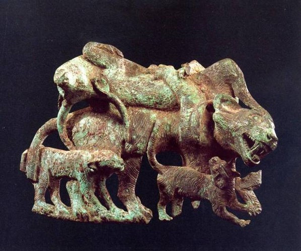 Con hổ cái vật lộn với một con bò đực, quanh nó là đàn con nhỏ.