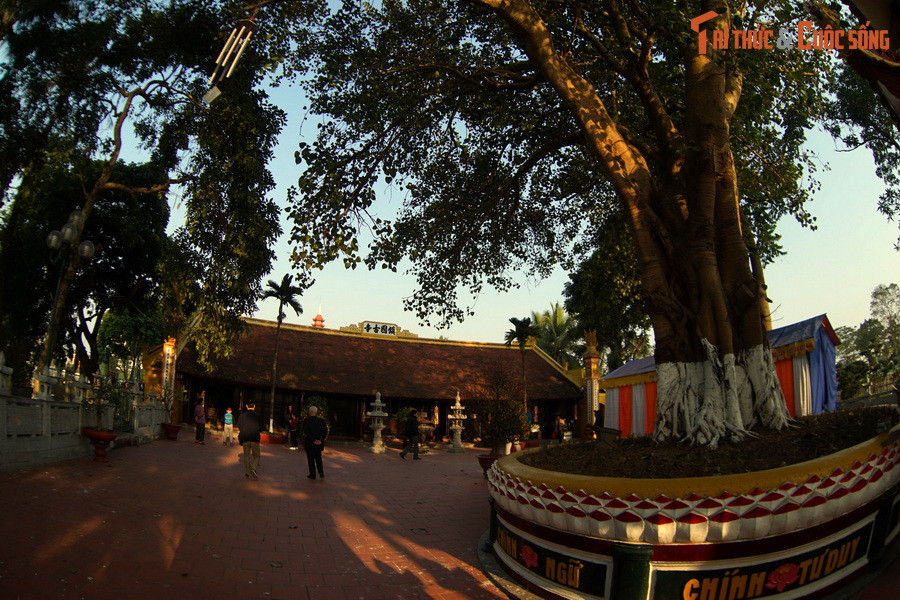 Một điều đặc biệt ít người biết là bảo tháp được xây dựng đối xứng với cây bồ đề trong vườn sau của chùa. Đường thẳng nổi từ tòa tháp với cây bồ đề tạo thành trục chính của quần thể kiến trúc chùa Trấn Quốc.