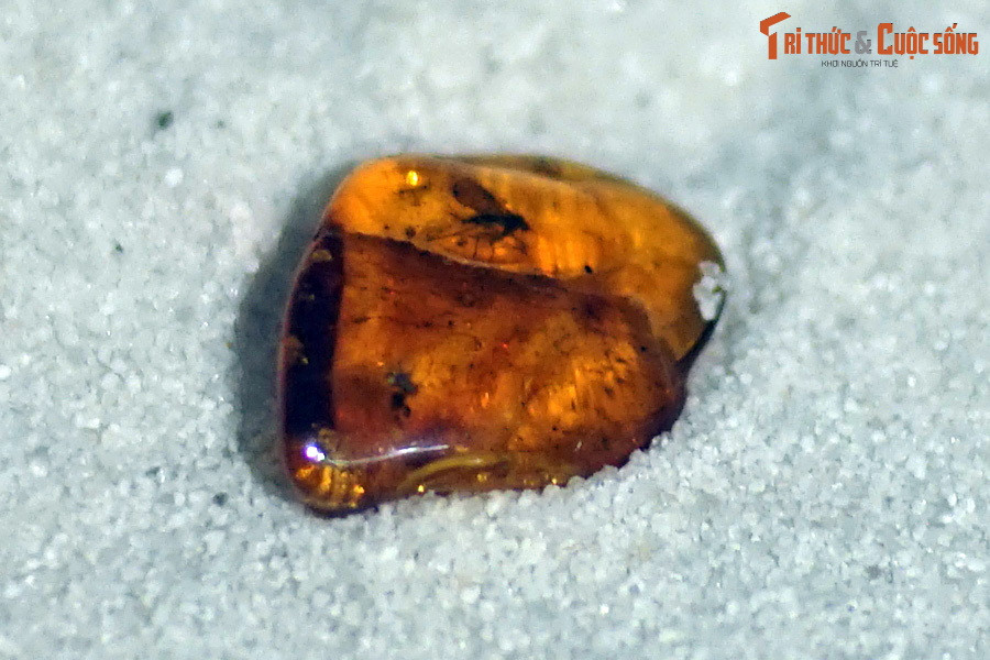 Trong điều kiện thích hợp nhựa cây cứng lại, được bảo tồn trong trầm tích và hóa thạch, trở thành hổ phách. Chúng thường được gặp dưới dạng khối nhựa cứng hoặc nhũ đá có màu vàng trong suốt.