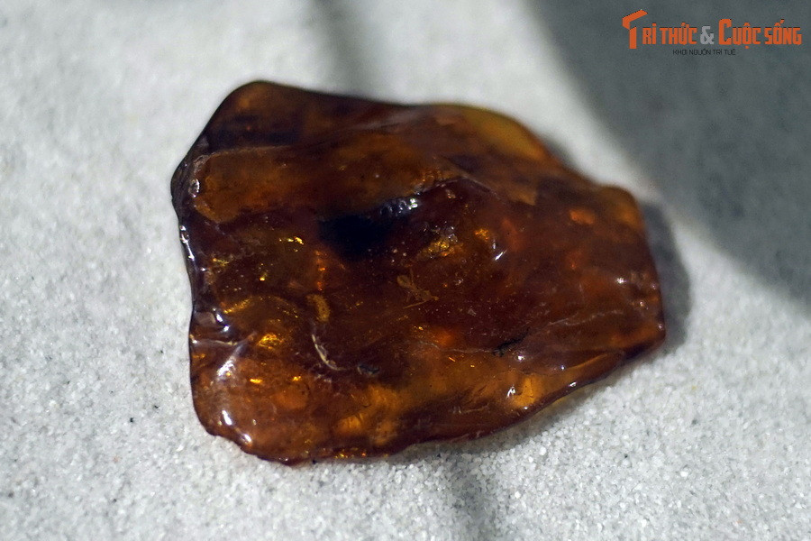 Vùng thứ hai là ở phía Bắc Myanmar, nơi cách đây 99 triệu năm từng là một khu rừng mưa nhiệt đới, nằm gần bờ biển...