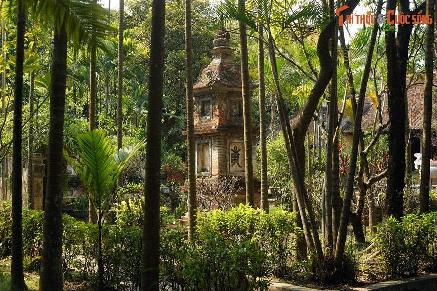 Khu đất chùa tọa lạc xưa kia thuộc trại Kim Mã trong vùng Thập Tam Trại, nằm ở phía Tây thành Thăng Long. Nhiều thế kỷ trước, khu vực này là pháp trường, nơi xử trảm các tội nhân.