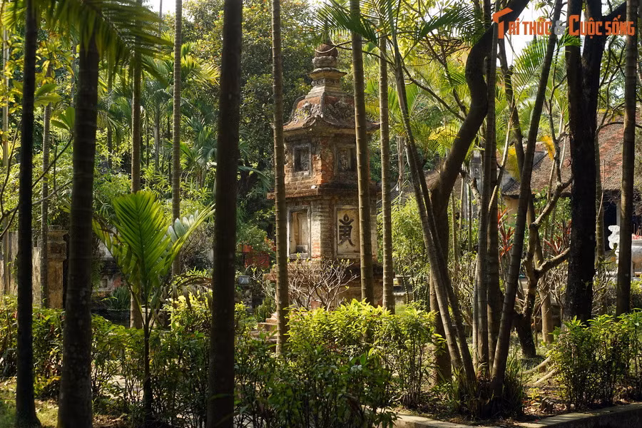 Khu đất chùa tọa lạc xưa kia thuộc trại Kim Mã trong vùng Thập Tam Trại, nằm ở phía Tây thành Thăng Long. Nhiều thế kỷ trước, khu vực này là pháp trường, nơi xử trảm các tội nhân.