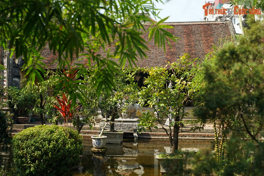 Vào năm 1789, khi vua Quang Trung đưa quân về thành Thăng Long và đại chiến với quân Mãn Thanh ở Đống Đa, hàng nghìn liệt sĩ Tây Sơn tử trận đã được quy tập về thôn Mã Trại, tạo thành một nghĩa trang.