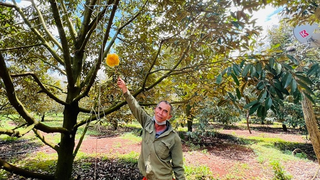 Bi kip trong “cay tien ty” cua bac nong dan dut tui 3,5 ty dong/nam-Hinh-3