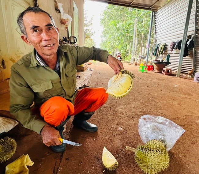 Bi kip trong “cay tien ty” cua bac nong dan dut tui 3,5 ty dong/nam