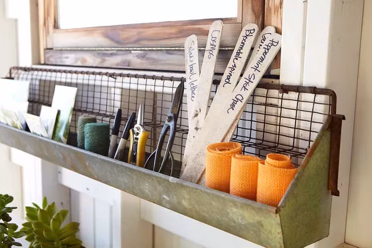 Những sai lầm khi gieo hạt giống cần tránh - Hình 5 Nhung sai lam khi gieo hat giong can tranh-Hinh-5