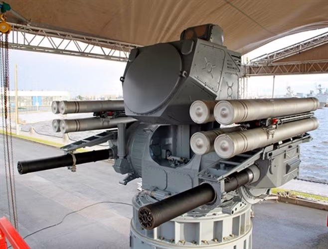 Thiết kế này tương tự như hệ thống Kashtan — phiên bản trước của Palma, tuy nhiên pháo và tên lửa nhận lệnh từ hệ thống điều khiển hỏa lực quang điện đa kênh 3V-89.