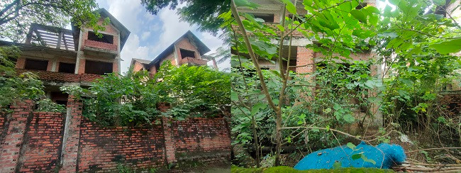 Cây cỏ dại mọc cao quá đầu người bao trùm các căn biệt thự bỏ hoang, các công trình xuống cấp nghiêm trọng khiến nơi đây đã trở thành “bãi đáp” của người nghiện ma túy. 