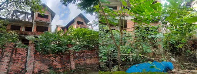 Cây cỏ dại mọc cao quá đầu người bao trùm các căn biệt thự bỏ hoang, các công trình xuống cấp nghiêm trọng khiến nơi đây đã trở thành “bãi đáp” của người nghiện ma túy. 