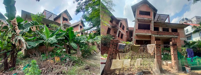 Khuôn viên của một số căn biệt thự bỏ hoang tại đây được người dân quanh khu vực tận dụng làm nơi trồng rau, trồng chuối. 