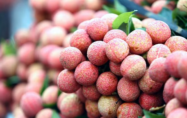 Quả vải. Quả vải cũng có hàm lượng đường quá cao, không tốt cho những thai phụ đã từng mắc bệnh tiểu đường cũng như chứng thừa cân. Bên cạnh đó, vải có tính nóng nên chị em bầu cần hạn chế không nên bổ sung quá nhiều vào cơ thể.