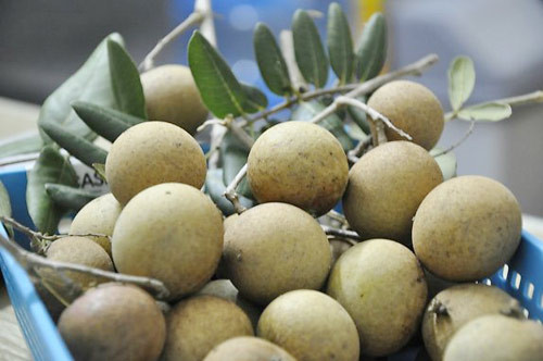 Quả nhãn. Theo Đông y, quả nhãn mùi thơm vị ngọt, thuộc tính ôn nhiệt, có chức năng bổ ích tâm tỳ, dưỡng cơ ích khí, dưỡng huyết an thần, rất được ưa chuộng tuy nhiên phụ nữ mang thai không nên ăn long nhãn nhiều. Nguyên nhân là do phụ nữ mang thai thường có triệu chứng nóng trong và thường có các hiện tượng táo bón, ăn nhãn nhiều sẽ tăng nóng trong, động huyết động thai, ra huyết đau bụng, đau tức bụng dưới, thậm chí tổn thương thai khí, dẫn tới sảy thai.