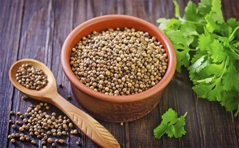 Hạt rau mùi. Hạt rau mùi đã được chứng minh có tác dụng điều hòa kinh nguyệt. Bạn có thể đun sôi một thìa cà phê hạt rau mùi với hai ly nước cho đến khi lượng nước vơi đi một nửa. Lọc hạt và uống 3 lần mỗi ngày trong một vài ngày trước khi đến chu kỳ kinh nguyệt. Lặp lại phương pháp này trong một vài tháng.