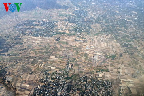 Mien Trung vat va trong nang nong chua tung co-Hinh-2