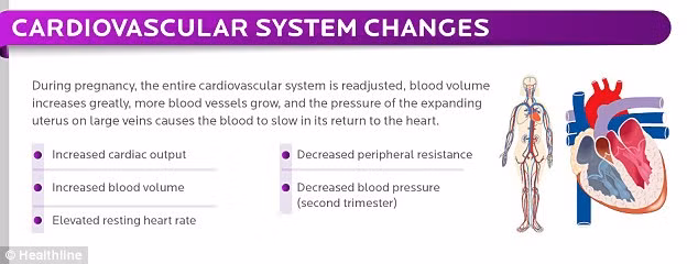 Cũng trong thời gian thai kỳ, máu được bơm đến tim nhiều hơn mỗi phút, do đó phụ nữ sẽ có nhịp tim nhanh hơn. Mạch máu sẽ phải mở rộng hơn để đáp ứng điều này, tuy nhiên, áp lực của tử cung mở rộng ảnh hưởng đến tĩnh mạch khiến máu về tim chậm hơn. Các hormone progesterone làm giãn mạch máu, gây tình trạng huyết áp giảm trong tam cá nguyệt thứ hai.