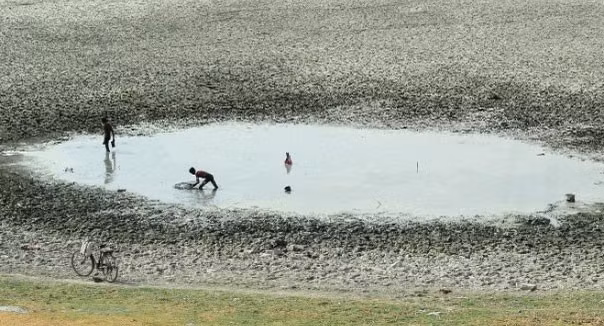 Người dân bắt cá trong ao sắp cạn ở thị trấn Phaphamau, thành phố Allahabad, bang Uttar Pradesh. Ảnh: Getty.