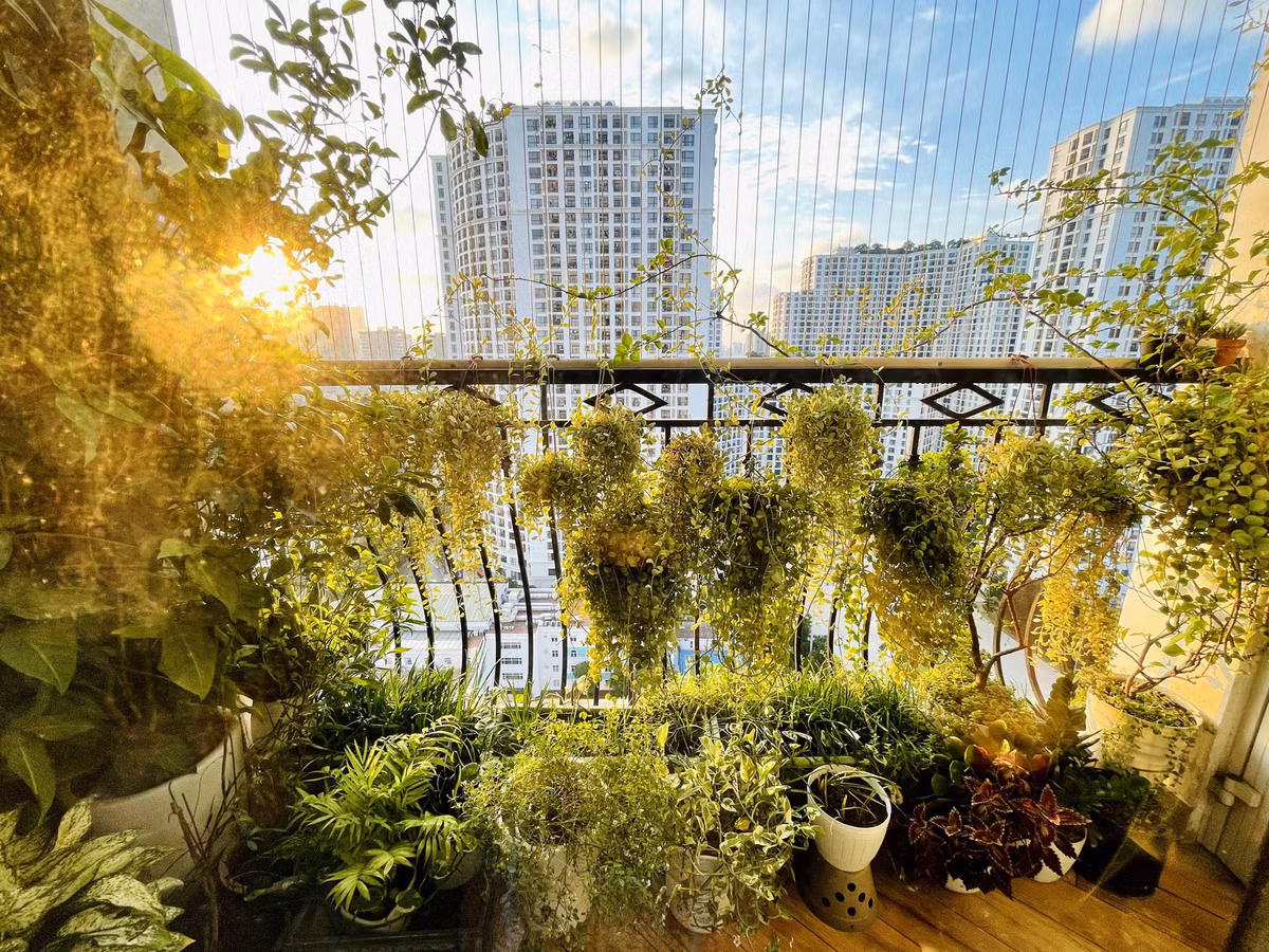 Ha Noi: Bien ban cong 4m2 thanh khu vuon xanh mat-Hinh-2