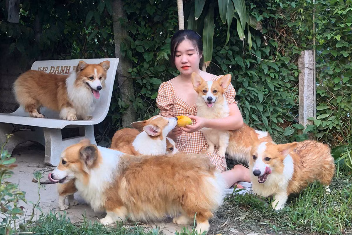 Co gai 9X ve que nuoi cho, doanh thu 1 ty dong/nam-Hinh-4