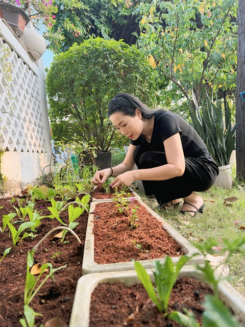 Trịnh Kim Chi trồng và chăm sóc kỹ lưỡng rau sạch.