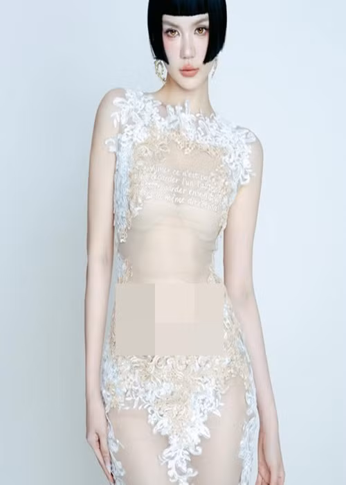 Ngọc Trinh mặc váy xuyên thấu bó sát để lộ nội y.