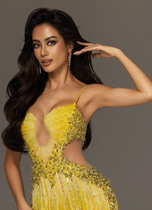 Hoa hậu Như Vân có gương mặt cá tính, sắc sảo. Ảnh: FB Như Vân.