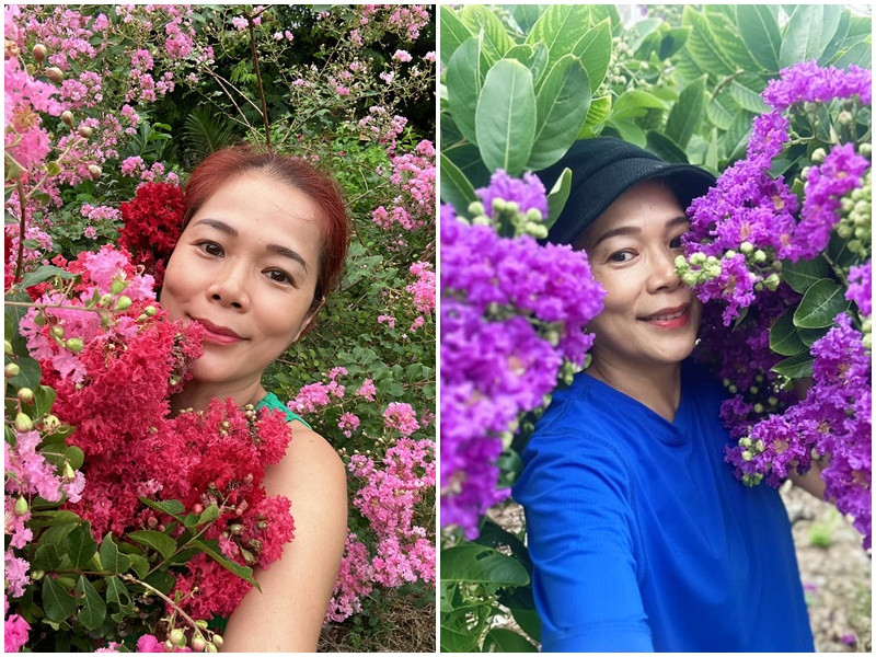 Vợ chồng Mỹ Lệ trồng rất nhiều loài hoa.