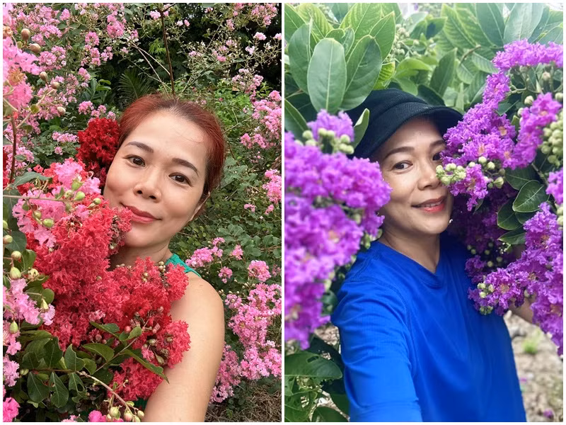 Vợ chồng Mỹ Lệ trồng rất nhiều loài hoa.