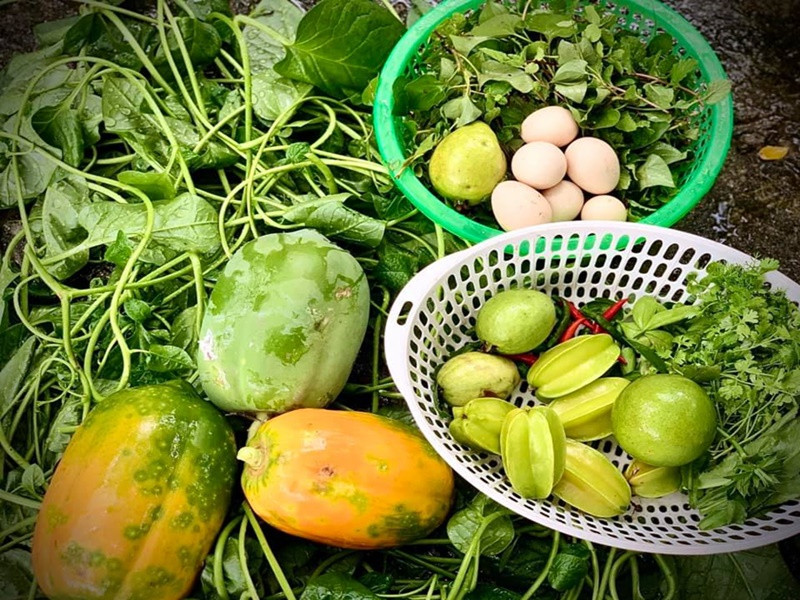 Nữ ca sĩ hài hước làm thơ về khu vườn của mình. "Bước tới nhà O bóng xế tà/Cỏ cây chen lá ớt chen hoa/ Lom khom hẹ nhú riềng vài chú/Lác đác chanh dây nghệ sả hành".