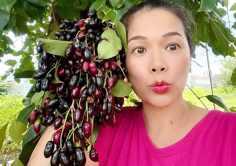 Cây trái trong nhà vườn của Mỹ Lệ lúc lỉu quả.