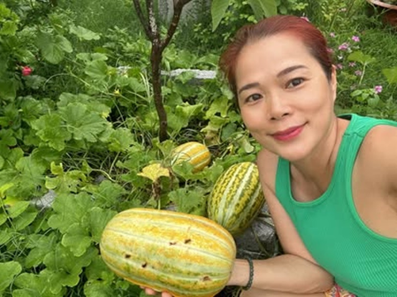 Mỹ Lệ có nguồn thực phẩm sạch cho gia đình từ khu vườn rộng 10.000m2.