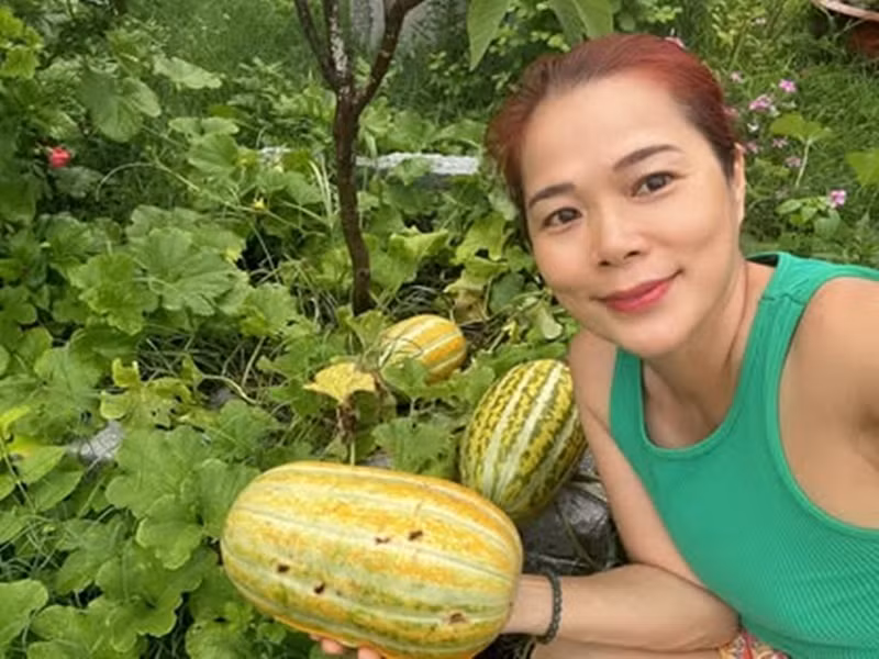 Mỹ Lệ có nguồn thực phẩm sạch cho gia đình từ khu vườn rộng 10.000m2.