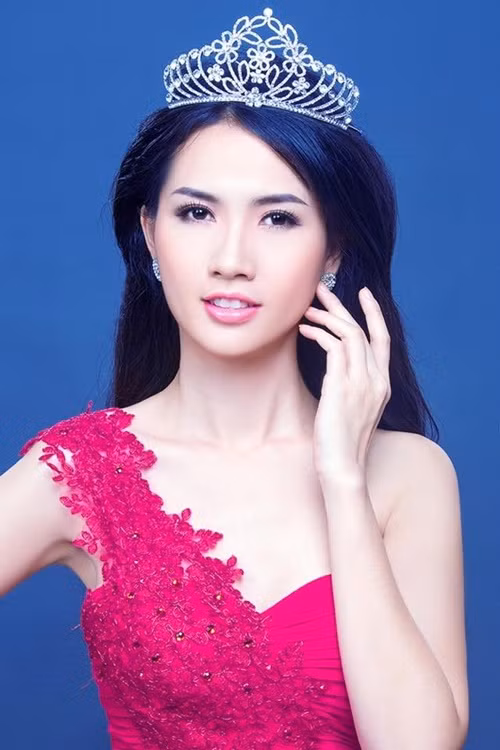  Phan Thị Mơ sinh năm 1990, đến từ Tiền Giang. Cô đăng quang cuộc thi Duyên dáng miệt vườn năm 2010, lọt top 5 Hoa hậu thế giới người Việt năm 2010, top 5 Hoa hậu Việt Nam năm 2012.