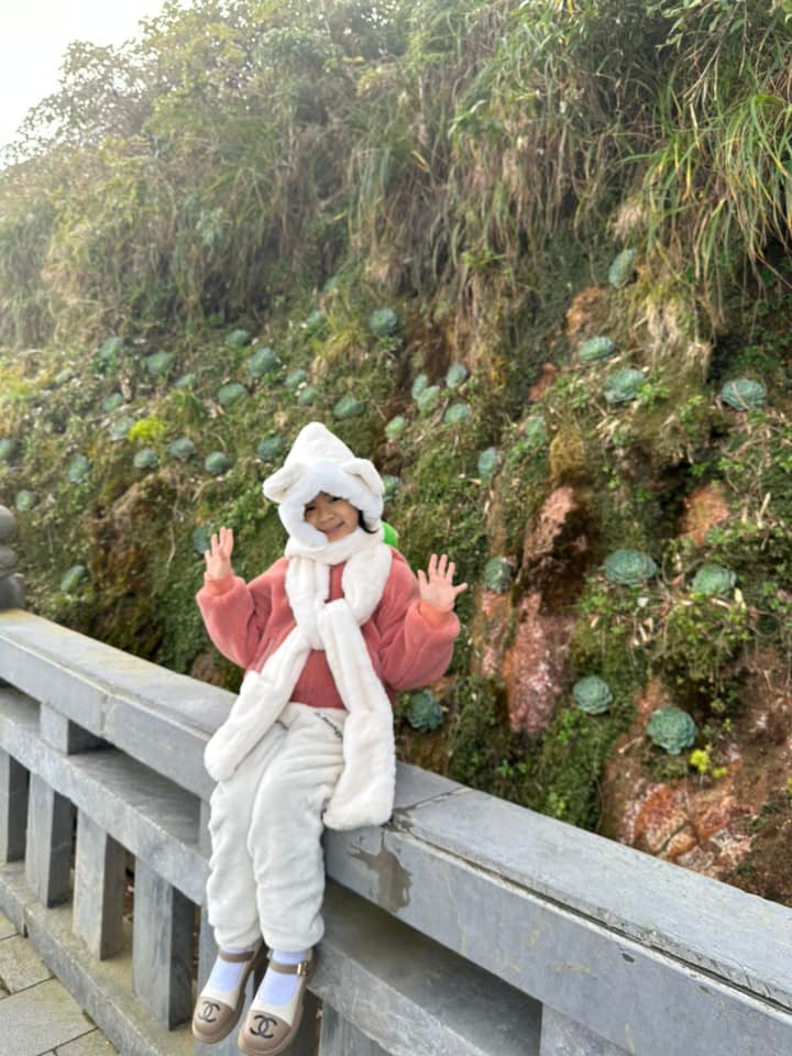 Dù mọc trên vách đá dựng đứng nhưng với số lượng nhiều đã tạo nên khung cảnh tuyệt đẹp như chốn bồng lai. Ảnh: Quách Thị Dương