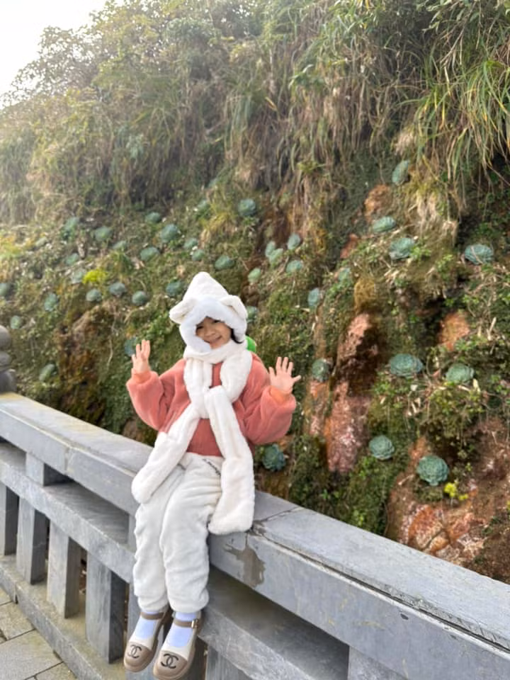 Dù mọc trên vách đá dựng đứng nhưng với số lượng nhiều đã tạo nên khung cảnh tuyệt đẹp như chốn bồng lai. Ảnh: Quách Thị Dương