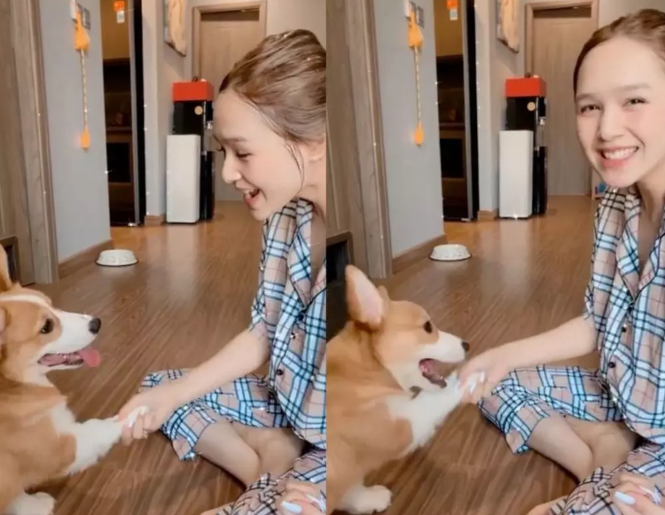 Trước đó, xuất hiện trong clip chơi đùa cùng cún cưng, diện trang phục giản dị khi ở nhà, gương mặt không make up của Xoài Non vẫn cực rạng rỡ.