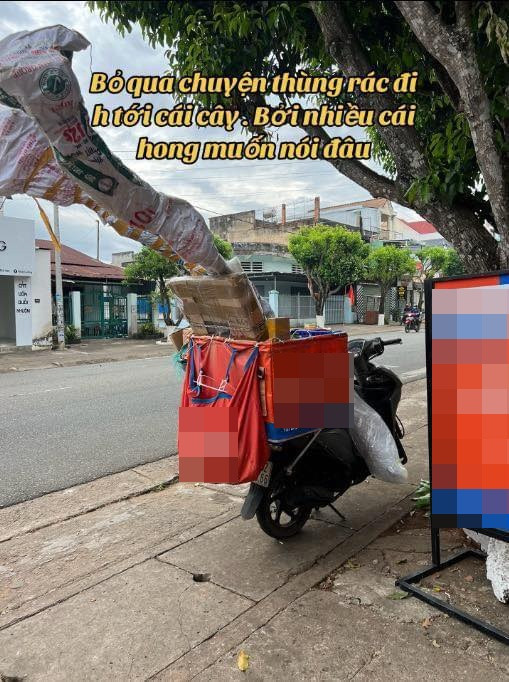Ngoài thùng rác cỡ lớn, nhiều vị khách còn mua hàng online cái cây siêu to, hình ảnh món hàng được shipper chở sau xe thực sự khiến nhiều người "cạn lời".