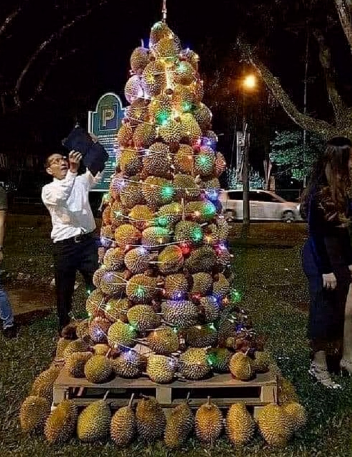 Cây thông Noel này có lẽ chỉ dành cho tín đồ mê sầu riêng. Ảnh: Tổng hợp