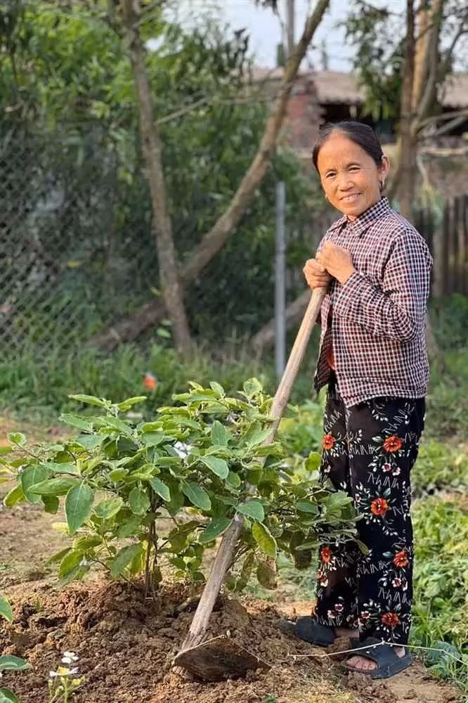 Thời kì hoàng kim, bà Tân Vlog từng làm nên kỳ tích khi cán mốc 1 triệu người đăng ký theo dõi trên YouTube và đạt nút vàng chỉ sau 13 ngày hoạt động. Người phụ nữ quê Bắc Giang này còn xác lập kỷ lục "Người phụ nữ là nông dân được nút vàng YouTube trong thời gian nhanh nhất tại Việt Nam".